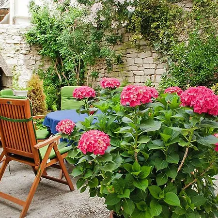 Holiday Hortensia - Cin101011-f Lumbarda